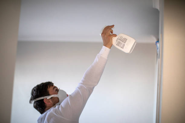 Best Home Mold Removal  in Wheaton, MD