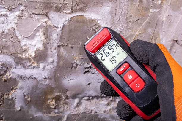 Best Office Mold Removal Services  in Wheaton, MD