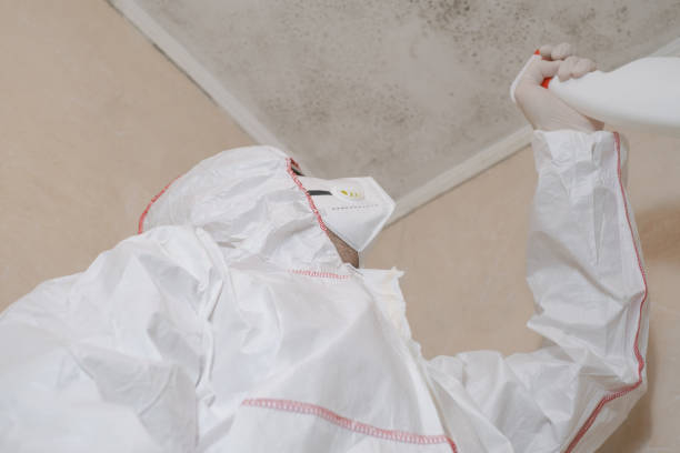 Best Emergency Mold Removal  in Wheaton, MD